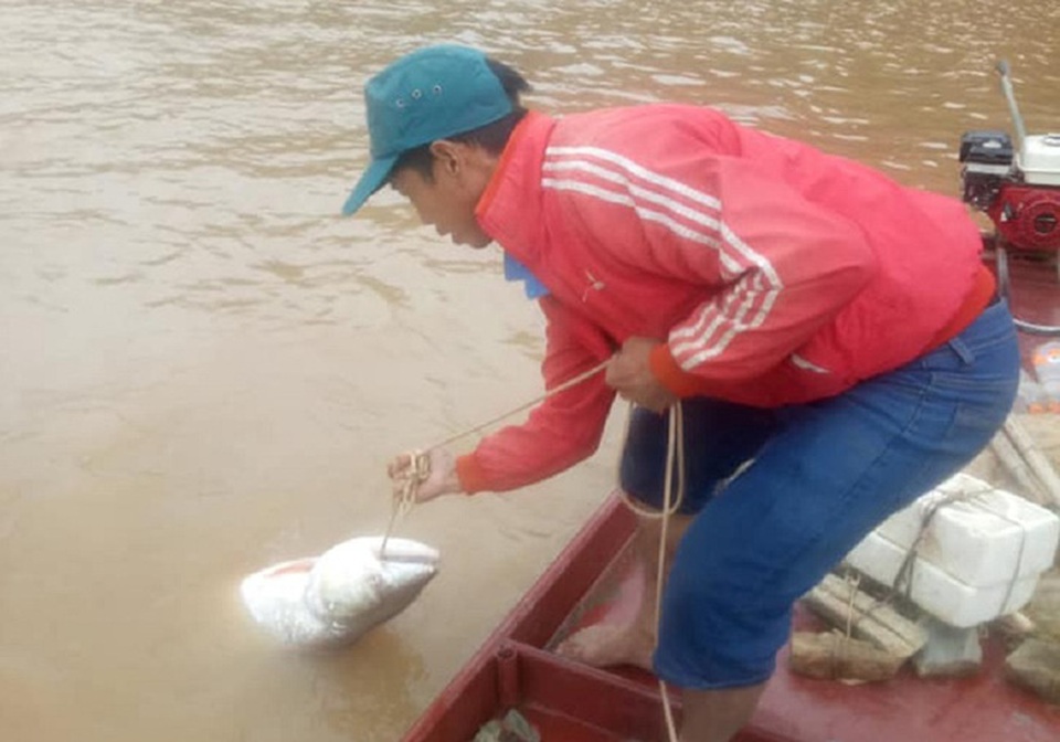 Theo chân ngư phủ săn “thủy quái” sông Đà - 1 Theo chân ngư phủ săn “thủy quái” sông Đà - 1