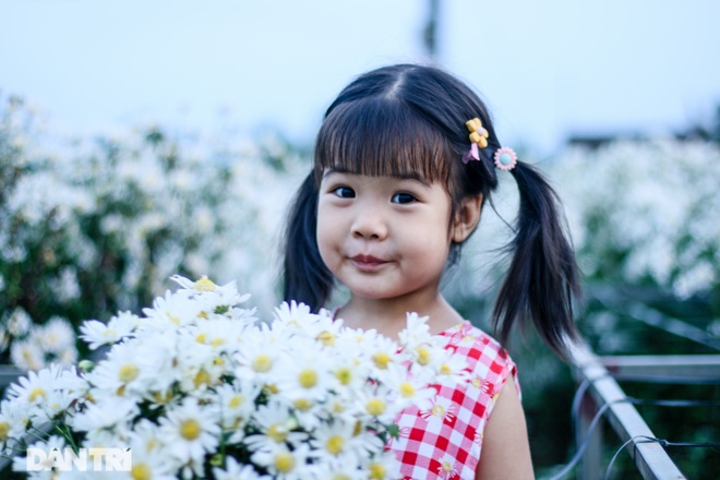 Nhiếp ảnh gia bó tay trước cảnh chen chân trong vườn cúc hoạ mi ở Hà Nội - 9 Nhiếp ảnh gia bó tay trước cảnh chen chân trong vườn cúc hoạ mi ở Hà Nội - 9