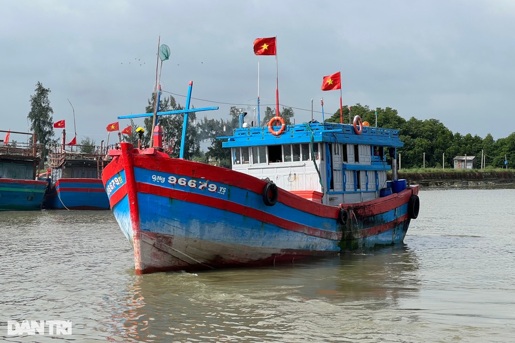 Chuyến lặn biển cuối năm ở Hoàng Sa giúp ngư dân thu về 1,2 tỷ đồng - 1