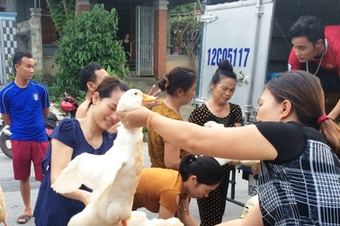 Hàng ngàn người dân chung tay “giải cứu vịt” cho bà con nông dân