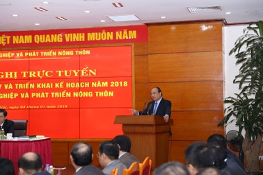 Thủ tướng: Lần đầu tiên, xuất khẩu rau, củ, quả vượt dầu thô và gạo