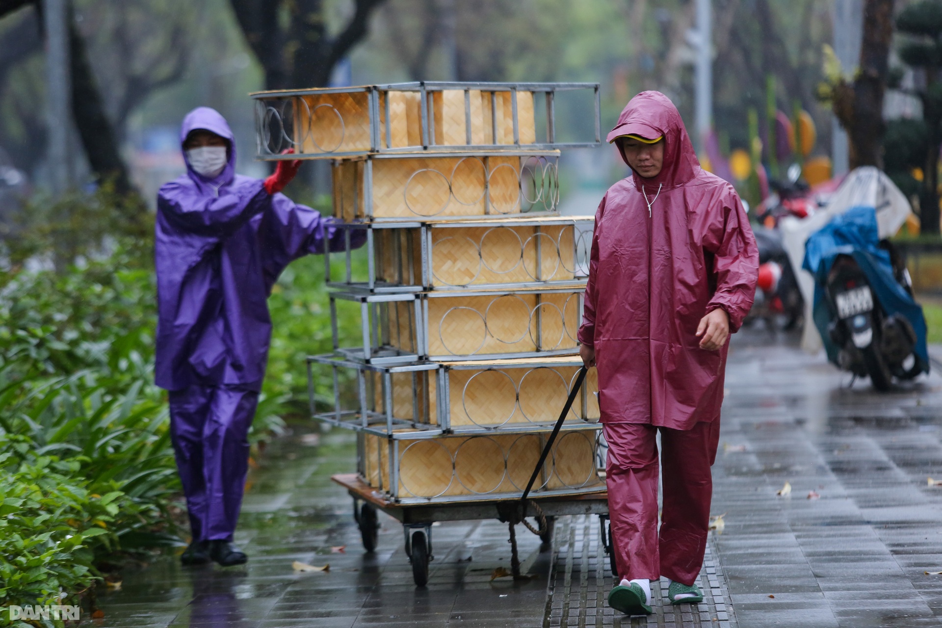 Người dân xứ Huế háo hức đợi xem hình tượng hổ từ TPHCM mang về Hội Xuân - 2