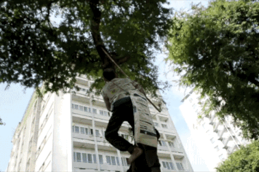 "Người rừng" giữa Sài Gòn