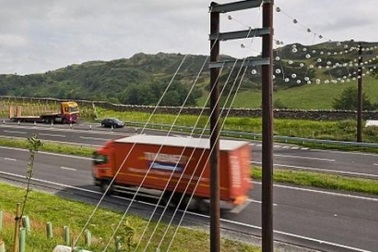 Anh: Xây cầu 58 tỉ đồng cho…dơi qua đường