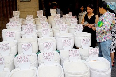 Lấy gạo Nhật làm thương hiệu gạo Việt?