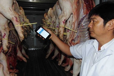 Không thể ‘soi’ thuốc an thần trong thịt heo