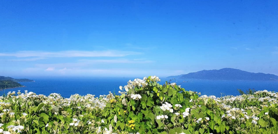 Chồng vừa mất, nhà nội nhờ tôi nuôi con riêng của anh - 1 Chồng vừa mất, nhà nội nhờ tôi nuôi con riêng của anh - 1