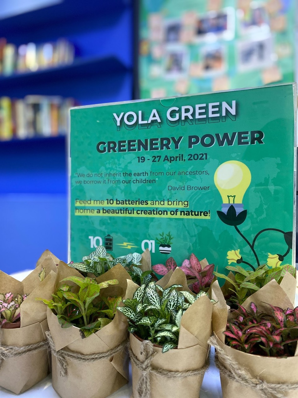 YOLA tổ chức chương trình thu hồi và tái chế pin điện tử - 1 YOLA tổ chức chương trình thu hồi và tái chế pin điện tử - 1