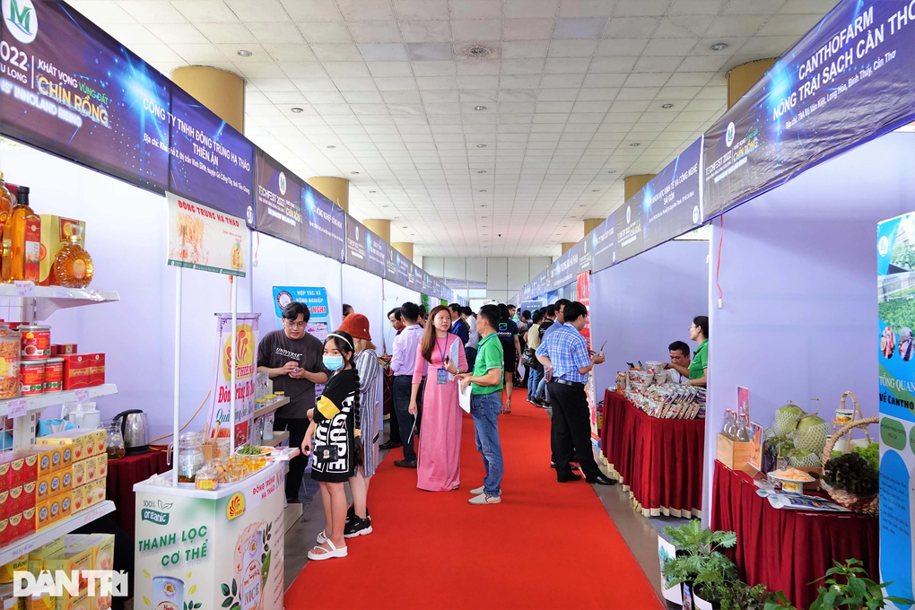 Khai mạc Ngày hội khởi nghiệp đổi mới sáng tạo vùng ĐBSCL - 4 Khai mạc Ngày hội khởi nghiệp đổi mới sáng tạo vùng ĐBSCL - 4