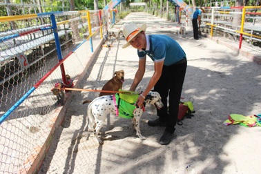 Du khách thích thú xem chó “cõng” khỉ thi chạy