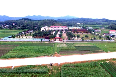 Trường THPT Nghi Lộc 5: 10 năm những thăng trầm và sứ mệnh “trồng người” trên quê hương Nghi Lộc