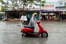 Nhiều nơi ở TPHCM có mưa to, gió giật mạnh cấp 7