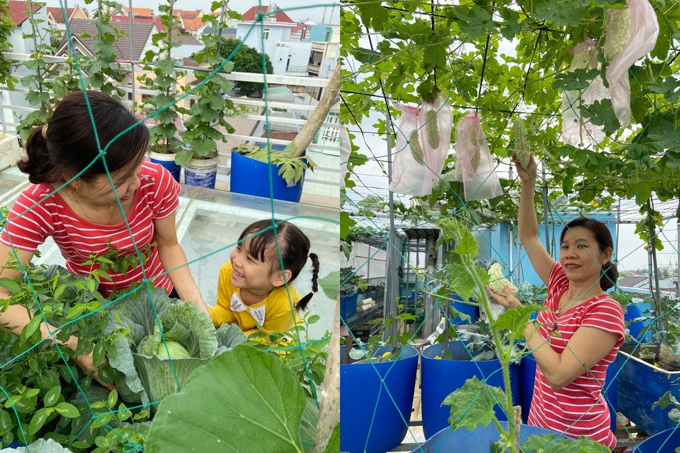 Bất ngờ với vườn rau trái đỉnh cao trên nóc nhà tại Đồng Nai - 15