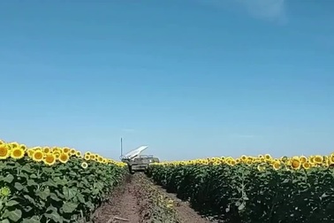 Tên lửa Buk-M1 của Ukraine khai hỏa, bắn hạ UAV Nga