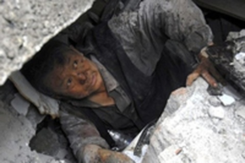 Chùm ảnh: Sự sống từ trong đống đổ nát