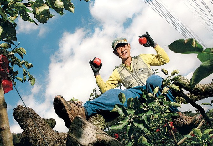 Tròn mắt ngắm táo vuông có chữ may mắn - 5
