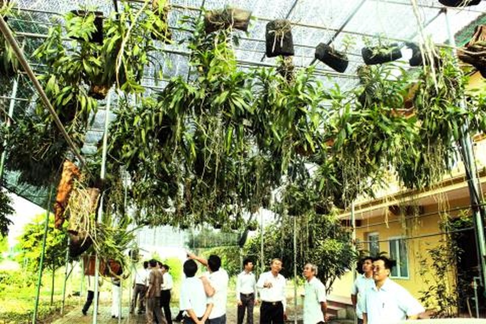Bộ Nông nghiệp: Truyền thông tung hê lan tiền tỷ rất nguy hiểm - 1 Bộ Nông nghiệp: Truyền thông tung hê lan tiền tỷ rất nguy hiểm - 1