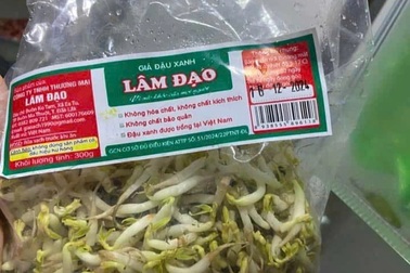 Vụ gần 3.000 tấn giá đỗ ủ chất cấm: Luật sư phân tích tình huống pháp lý