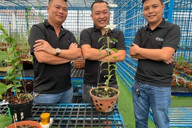 Lắng nghe kinh nghiệm quý báu về cách chăm lan hồ điệp nở đúng dịp Tết của nghệ nhân Quý Trần