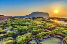 Những vụ việc du khách Việt đi tour rồi bỏ trốn ở nước ngoài gây nhức nhối dư luận