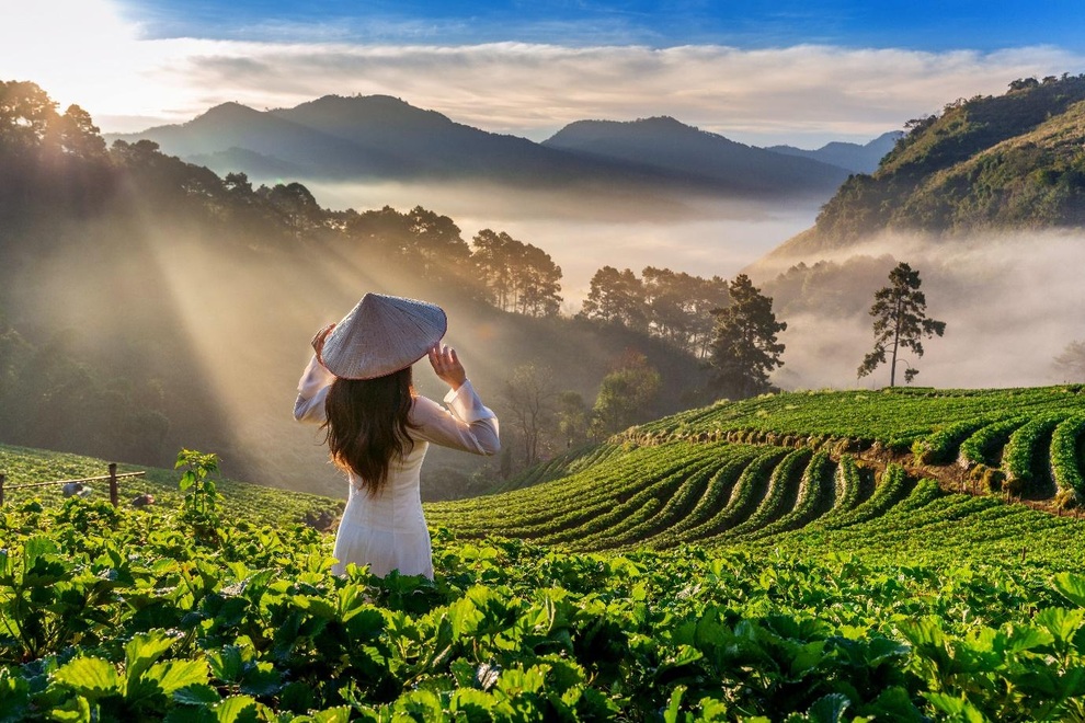 Việt kiều ở nước ngoài giúp quảng bá du lịch Việt Nam ra thế giới - 1 Việt kiều ở nước ngoài giúp quảng bá du lịch Việt Nam ra thế giới - 1