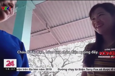 Người dân đổ xô đi bắt con "sâu xoang" ở Phú Thọ