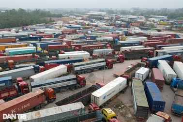 Hơn 1.400 container hàng hóa ùn tắc kỷ lục tại cửa khẩu Móng Cái dịp Tết