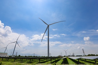 Doanh nghiệp điện gió kêu cứu vì bị cắt giảm công suất kéo dài