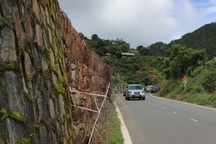 Hỏa tốc kiểm tra đèo Mimosa và đường Hoa Đỗ Quyên ở Đà Lạt