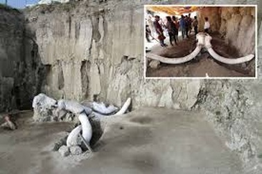 Tìm thấy hố bẫy voi ma mút của người cổ đại