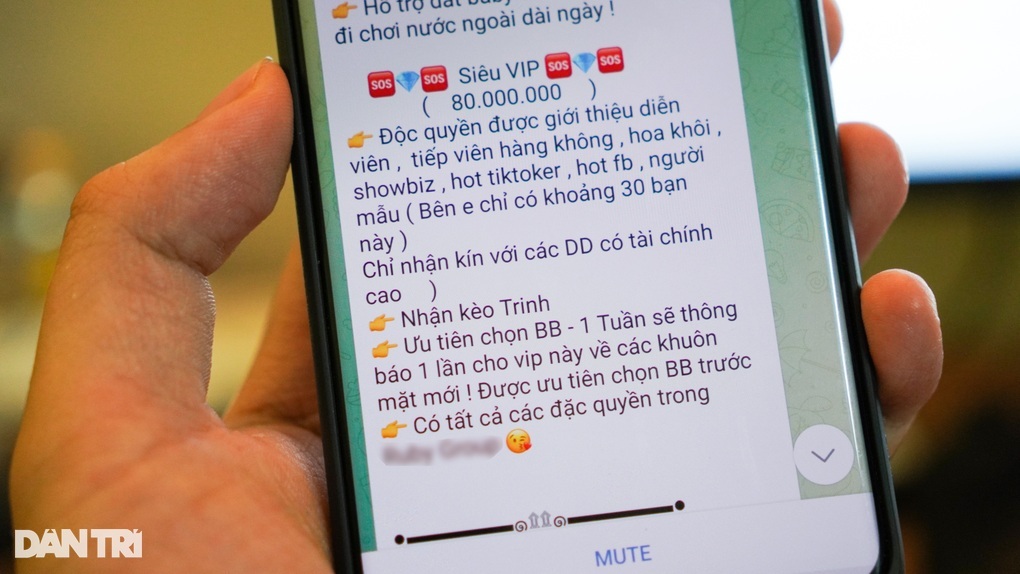 Người dùng Việt ủng hộ chặn Telegram giữa ma trận nhóm độc hại - 2 Người dùng Việt ủng hộ chặn Telegram giữa ma trận nhóm độc hại - 2