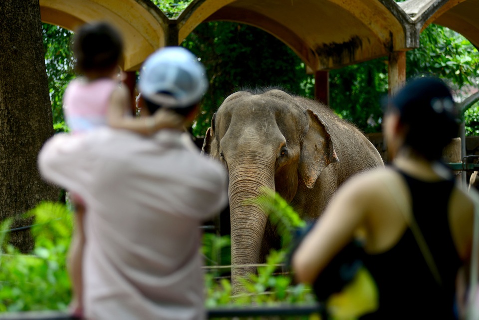 Thảo Cầm Viên đông đúc.jpg