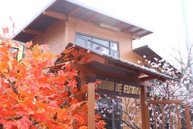 Doanh nghiệp Việt Nam sáng chế ra siêu vật liệu xây dựng mới