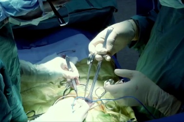 Nhật Bản kiểm tra tay nghề phẫu thuật của bác sĩ trẻ bằng giấy gấp siêu nhỏ, sushi và côn trùng