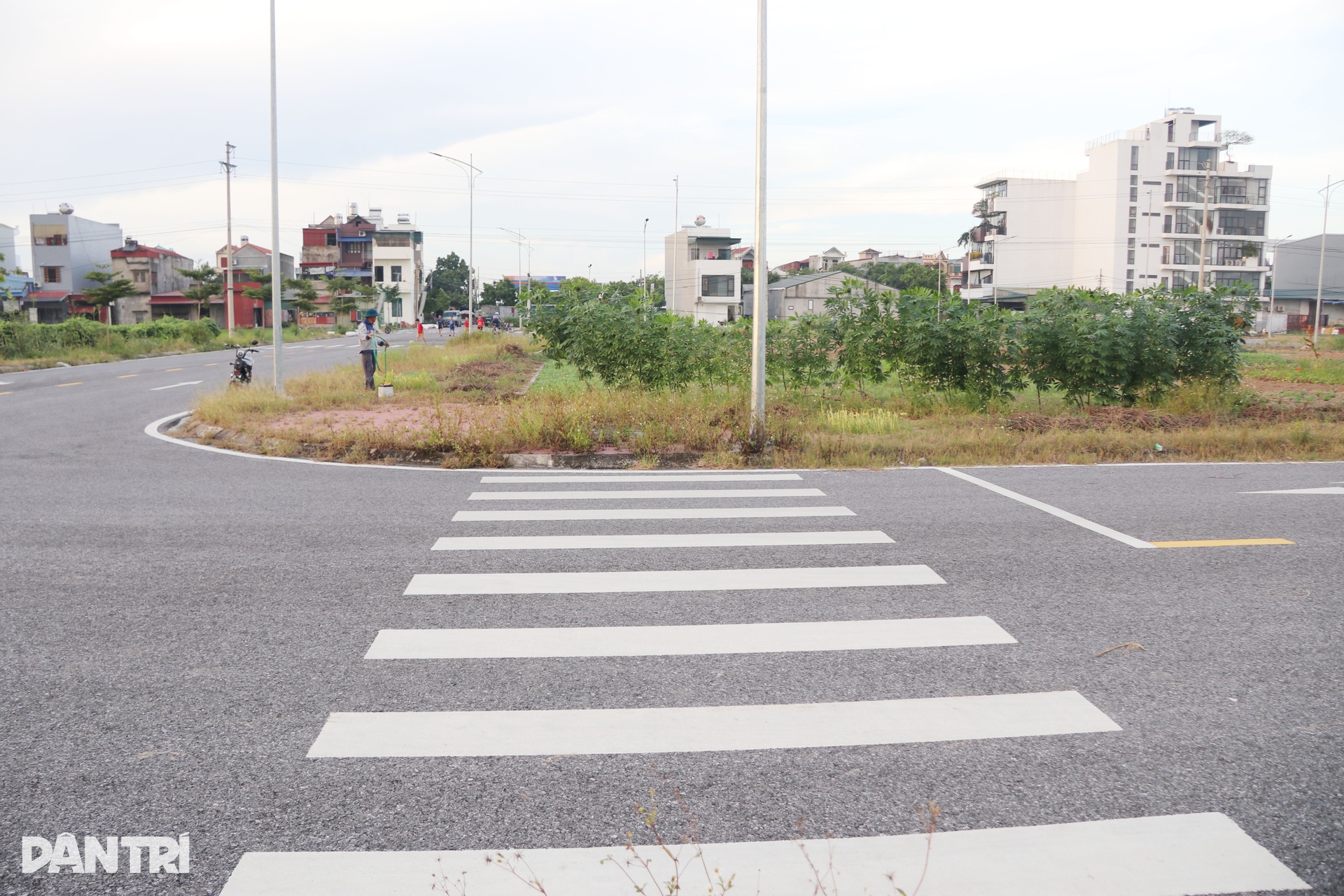 Hiện trạng dự án khu dân cư có ngôi mộ án ngữ giữa đường ở Hải Phòng - 7