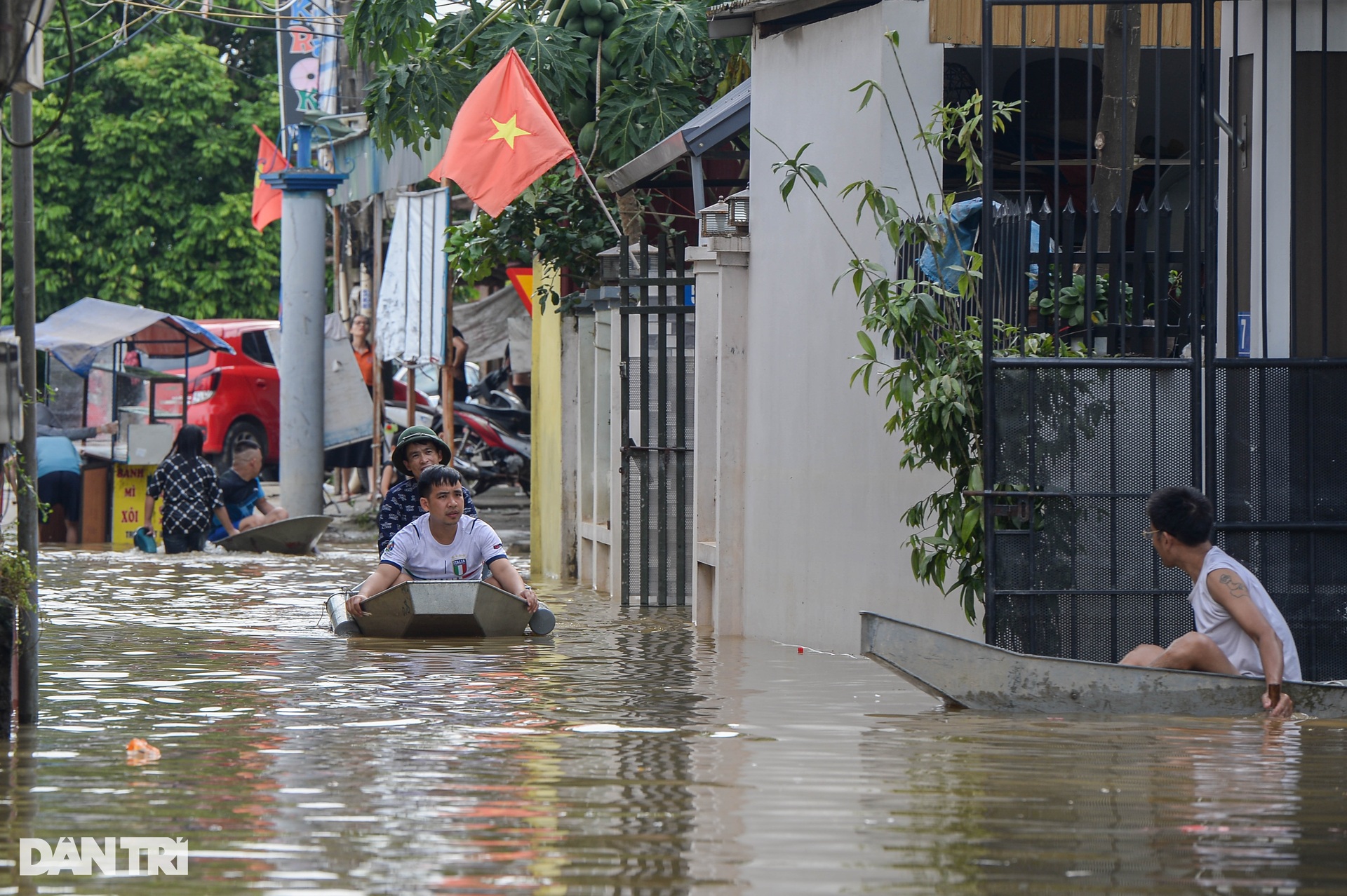 Hà Nội: Nước lũ dâng cao hơn 5m, người dân sơ tán đàn lợn lên tầng 3 - 5