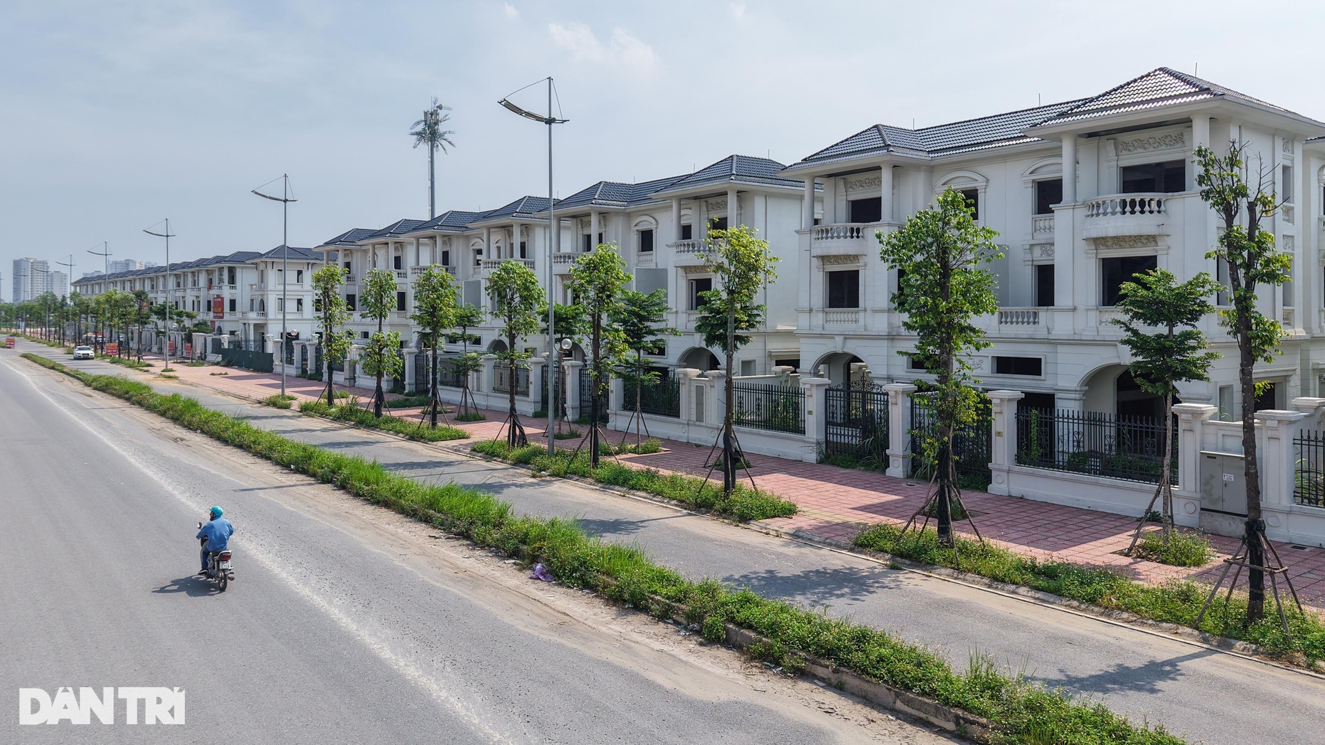 Hàng loạt biệt thự triệu đô bỏ hoang, cỏ mọc um tùm gây lãng phí ở Hà Nội - 3