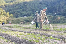 Về nơi đồi núi, ruộng đồng khô cháy bản làng héo hon