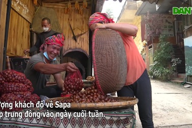 Du lịch Sapa khởi sắc, khách đổ về nườm nượp dịp cuối tuần