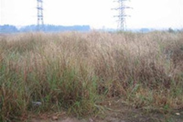 Thanh tra dự án “Thành phố giao lưu” của Hà Nội