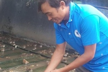 Ninh Bình: 8X mỗi năm kiếm gần nửa tỷ đồng nhờ nuôi ếch ộp