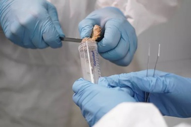 Nghiên cứu giải mã những bí mật ẩn giấu ở vùng đất băng vĩnh cửu