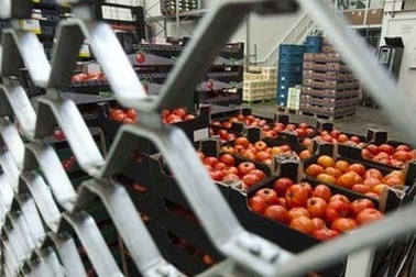 Châu Âu: Bùng phát dịch tiêu chảy nguy hiểm do E. coli