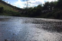 Vụ trang trại lợn “tra tấn” người dân: Chính quyền "bó tay" trước sai phạm?