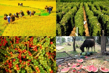 Sản phẩm cả tỷ đô, không ai trông nom trọn vẹn