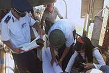 Thí điểm thủ tục hải quan điện tử