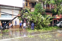 Ninh Bình: Thiệt hại nặng nề sau bão số 1