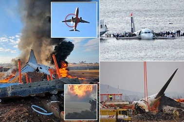 Vì sao những con chim bé nhỏ có thể làm rơi cả một chiếc máy bay?