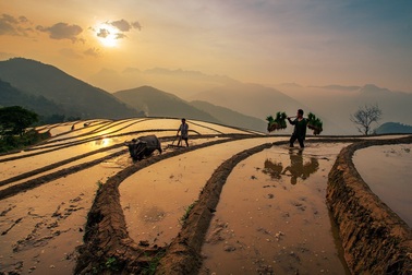 Lào Cai nắng nóng gần 40 độ C, nguy cơ cháy rừng Sa Pa