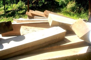 2 kiểm lâm bị thương, 1 lâm tặc tử vong trong một vụ truy quét